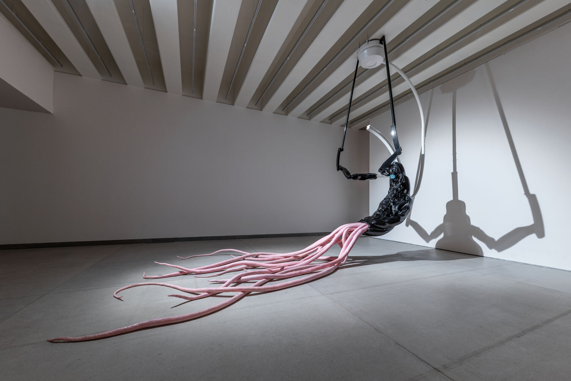 Lo sguardo come forma di resistenza. Il corpo transumano tra controllo e liberazione