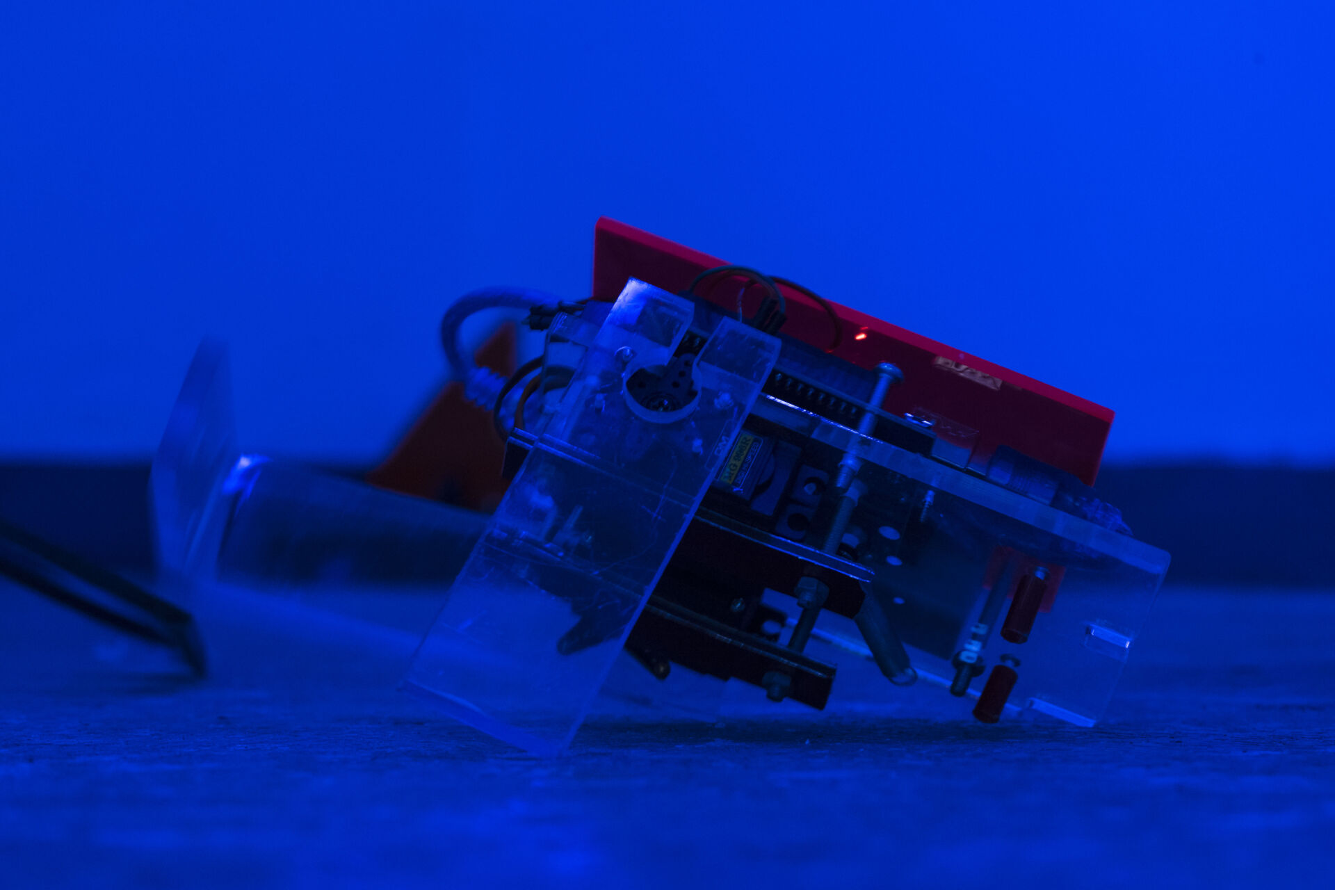 Poetica e Pratica dell’Errore Tecnologico