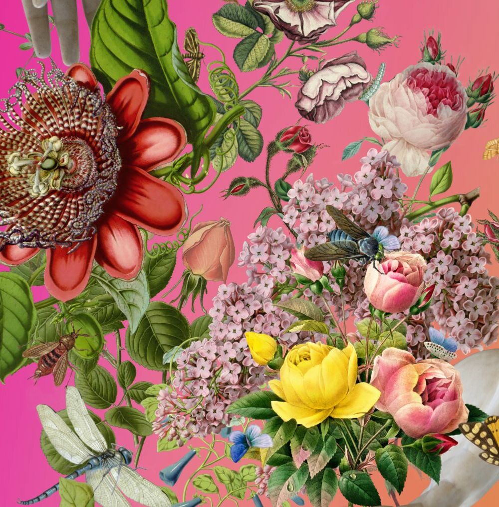 NEXT UP II FEBRUARY_ BEATRICE RAINONE_THE BUNKER MAGAZINE_00