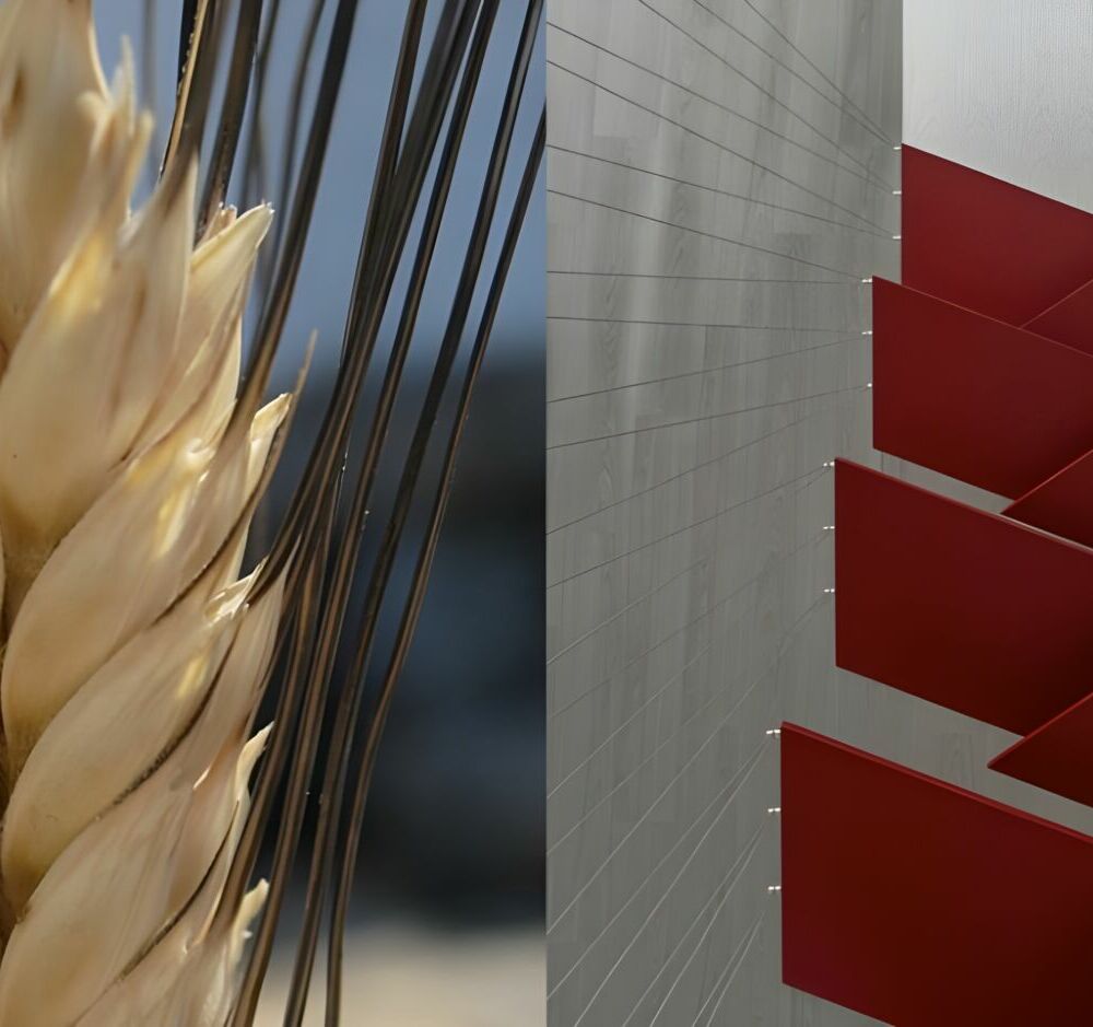 GNASSI_CARRILLO_THE BUNKER_00