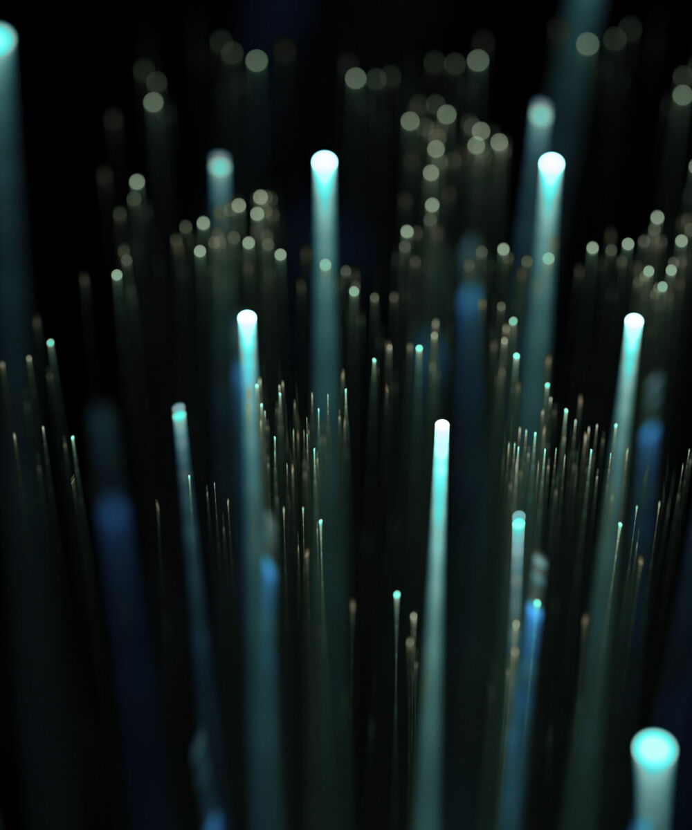 FABIO GNASSI_FAUSTO GERNONE_THE BUNKER MAGAZINE_00