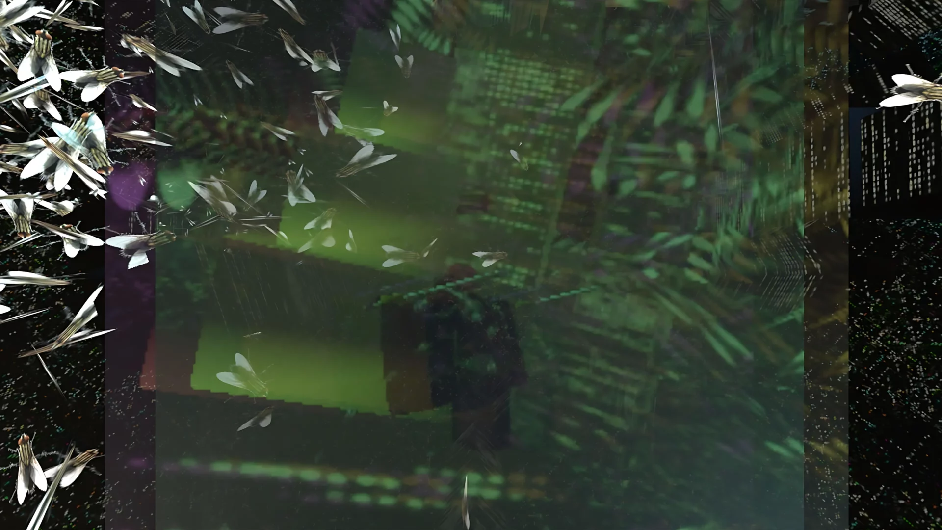 Internet come spazio di guarigione. Intervista a Valentina Tanni